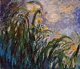 Claude Monet Les iris jaunes 1824 painting